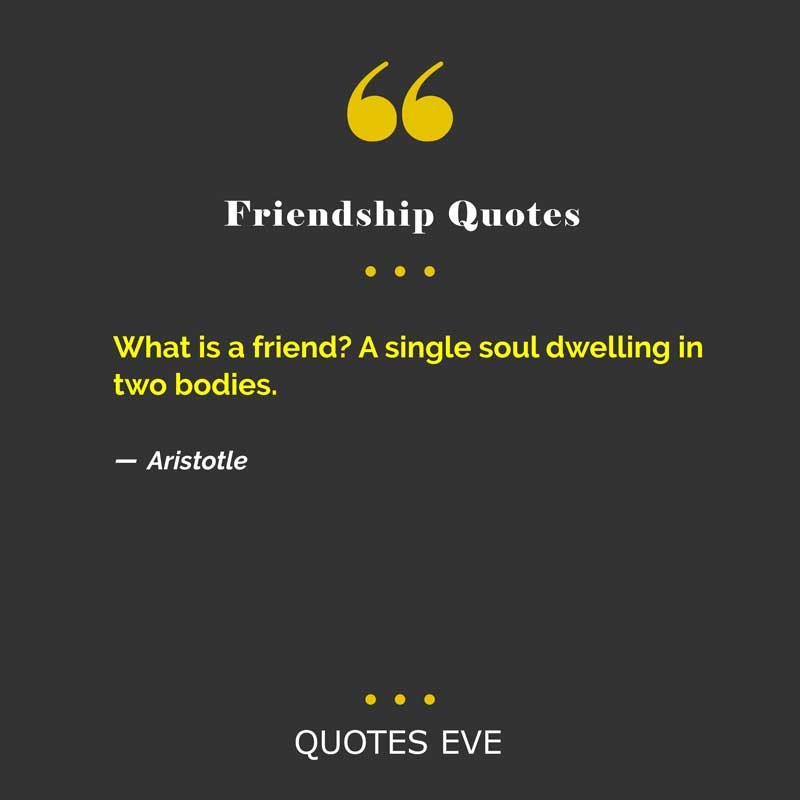 What is a friend? A single soul dwelling in two bodies.
― Aristotle
