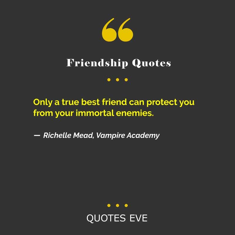 Only a true best friend can protect you from your immortal enemies.
― Richelle Mead, Vampire Academy