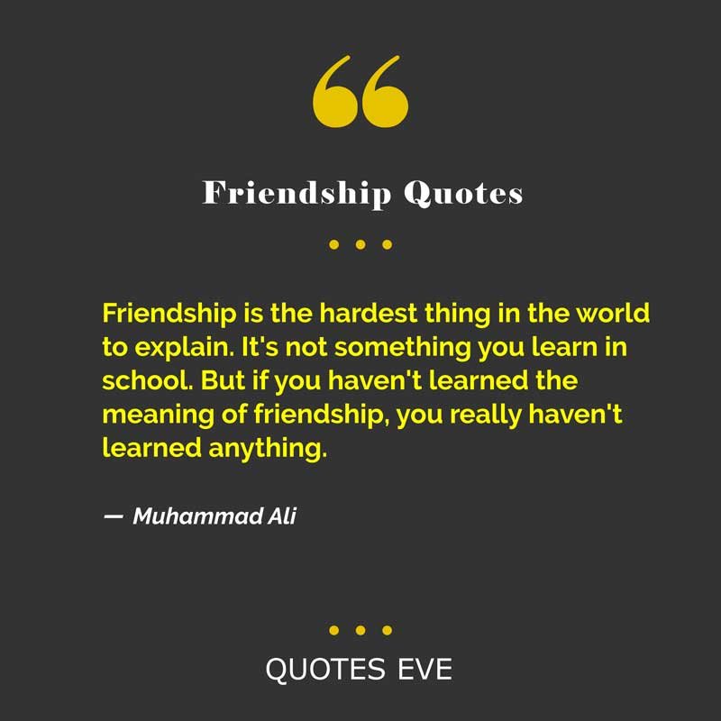 Friendship is the hardest thing in the world to explain. It's not something you learn in school. But if you haven't learned the meaning of friendship, you really haven't learned anything.
― Muhammad Ali