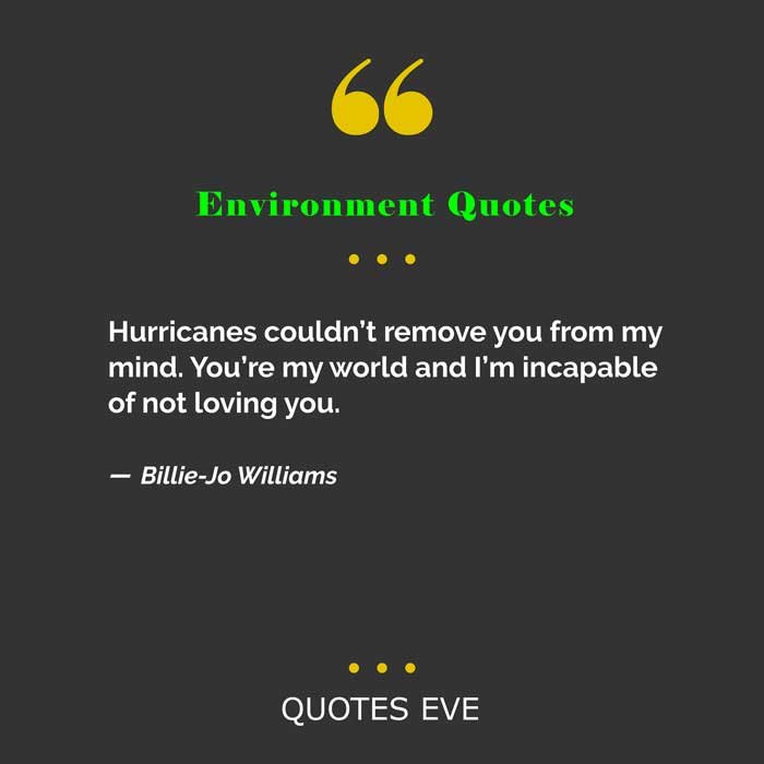 World Environment Day Quotes - Hurricanes couldn’t remove you from my mind.