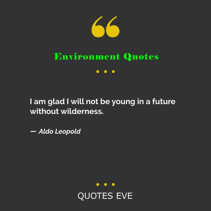 I am glad I will not be young in a future without wilderness - World Environment Day Quotes