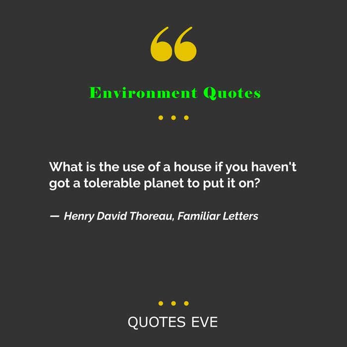 What is the use of a house if you haven't got a tolerable planet to put it on.