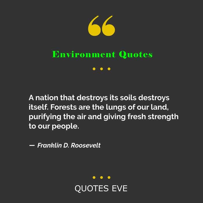 A nation that destroys its soils destroys itself. Forests are the lungs of our land, purifying the air and giving fresh strength to our people.